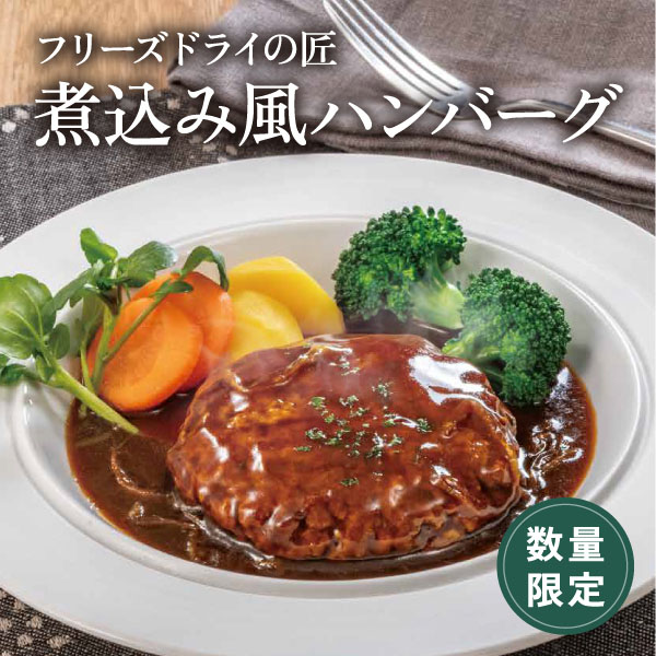 フリーズドライの匠　煮込み風ハンバーグ